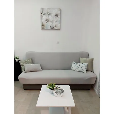 Lee 스플리트